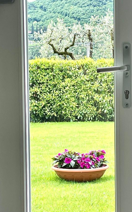 Apartment Guest Martilla Luxury & Garden